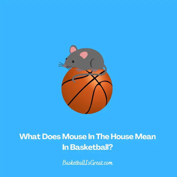 What Does Mouse In The House Mean In Basketball?