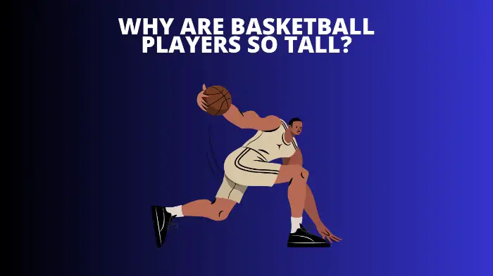 Why Are Basketball Players So Tall?